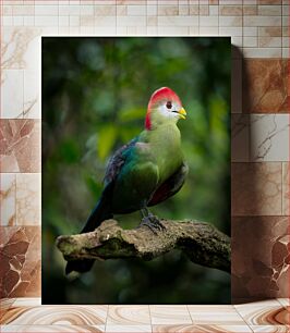 Πίνακας, Colorful Bird on Branch Πολύχρωμο πουλί στο κλαδί