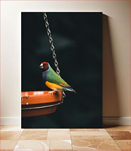 Πίνακας, Colorful Bird on Feeder Πολύχρωμο πουλί στον τροφοδότη