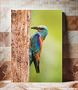 Πίνακας, Colorful Bird on Tree Πολύχρωμο πουλί στο δέντρο