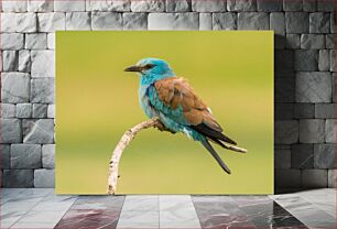 Πίνακας, Colorful Bird Perched on a Branch Πολύχρωμο πουλί σκαρφαλωμένο σε ένα κλαδί