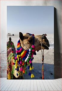 Πίνακας, Colorful Camel in Desert Πολύχρωμη Καμήλα στην Έρημο