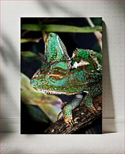 Πίνακας, Colorful Chameleon on Branch Πολύχρωμος χαμαιλέοντας στο κλαδί