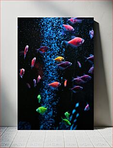 Πίνακας, Colorful Fish in an Aquarium Πολύχρωμα ψάρια σε ενυδρείο