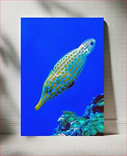 Πίνακας, Colorful Fish in the Sea Πολύχρωμα Ψάρια στη Θάλασσα