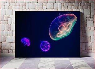 Πίνακας, Colorful Glowing Jellyfish Πολύχρωμες λαμπερές μέδουσες