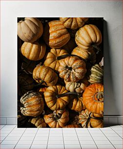 Πίνακας, Colorful Gourds Πολύχρωμες κολοκύθες