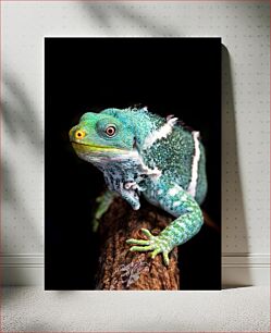 Πίνακας, Colorful Iguana Πολύχρωμο ιγκουάνα