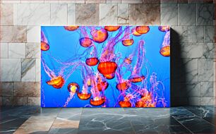 Πίνακας, Colorful Jellyfish in the Sea Πολύχρωμες μέδουσες στη θάλασσα