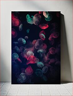 Πίνακας, Colorful Jellyfish Πολύχρωμες μέδουσες