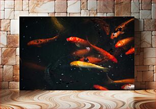 Πίνακας, Colorful Koi Fish in Pond Πολύχρωμα ψάρια Koi στη λίμνη