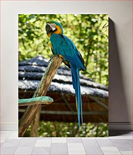 Πίνακας, Colorful Macaw Parrot on a Perch Πολύχρωμος παπαγάλος Macaw σε μια πέρκα