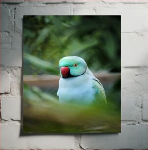 Πίνακας, Colorful Parakeet Πολύχρωμος παπαγάλος