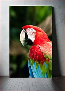 Πίνακας, Colorful Parrot in Natural Habitat Πολύχρωμος παπαγάλος σε φυσικό βιότοπο