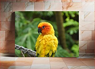 Πίνακας, Colorful Parrot in Nature Πολύχρωμος παπαγάλος στη φύση