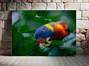 Πίνακας, Colorful Parrot in Nature Πολύχρωμος παπαγάλος στη φύση
