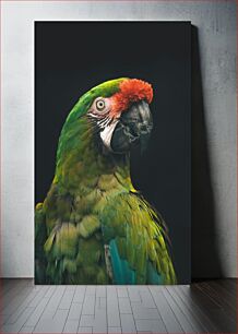 Πίνακας, Colorful Parrot Πολύχρωμος παπαγάλος