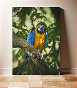 Πίνακας, Colorful Parrot on a Branch Πολύχρωμος παπαγάλος σε ένα κλαδί
