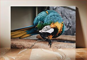 Πίνακας, Colorful Parrot on a Perch Πολύχρωμος παπαγάλος σε μια πέρκα