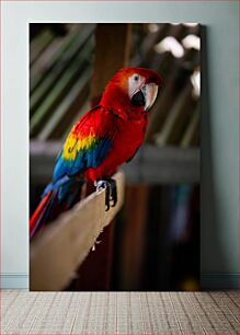 Πίνακας, Colorful Parrot on a Perch Πολύχρωμος παπαγάλος σε μια πέρκα