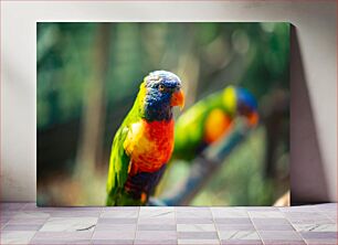 Πίνακας, Colorful Parrot on Branch Πολύχρωμος παπαγάλος στο κλαδί