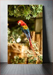Πίνακας, Colorful Parrot on Tree Branch Πολύχρωμος παπαγάλος σε κλαδί δέντρου
