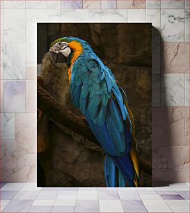 Πίνακας, Colorful Parrot Perched Πολύχρωμος Παπαγάλος Σκαρφαλωμένος