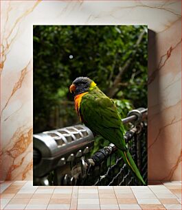 Πίνακας, Colorful Parrot Perched Πολύχρωμος Παπαγάλος Σκαρφαλωμένος