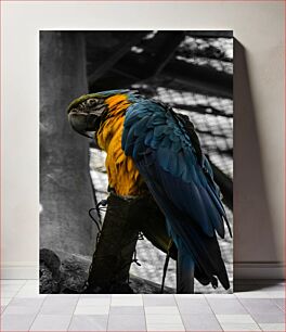 Πίνακας, Colorful Parrot Perched Πολύχρωμος Παπαγάλος Σκαρφαλωμένος