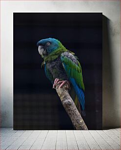 Πίνακας, Colorful Parrot Perched on a Branch Πολύχρωμος παπαγάλος σκαρφαλωμένος σε ένα κλαδί