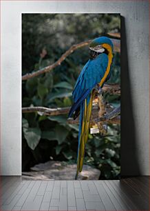 Πίνακας, Colorful Parrot Perching Πολύχρωμος παπαγάλος που κουρνιάζει