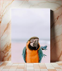 Πίνακας, Colorful Parrot Portrait Πολύχρωμο πορτρέτο παπαγάλου