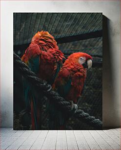 Πίνακας, Colorful Parrots in a Cage Πολύχρωμοι παπαγάλοι σε ένα κλουβί