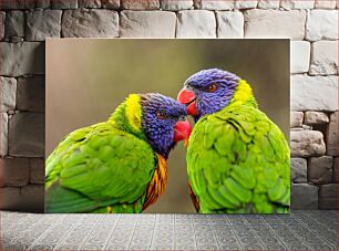 Πίνακας, Colorful Parrots Πολύχρωμοι παπαγάλοι