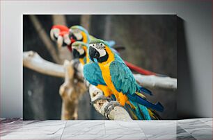 Πίνακας, Colorful Parrots on a Branch Πολύχρωμοι παπαγάλοι σε ένα κλαδί