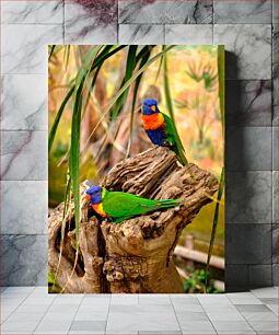 Πίνακας, Colorful Parrots on a Tree Stump Πολύχρωμοι παπαγάλοι σε κούτσουρο δέντρου