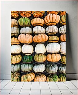 Πίνακας, Colorful Pumpkin Display Πολύχρωμη οθόνη κολοκύθας