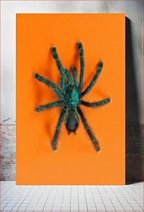 Πίνακας, Colorful Spider on Orange Background Πολύχρωμη αράχνη σε πορτοκαλί φόντο