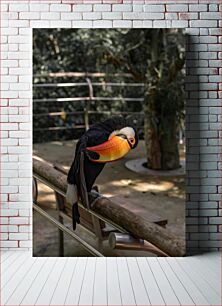 Πίνακας, Colorful Toucan Perched on a Branch Πολύχρωμο Τουκάν σκαρφαλωμένο σε ένα κλαδί