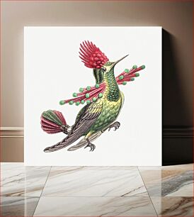 Πίνακας, Colorful vintage hummingbird illustration