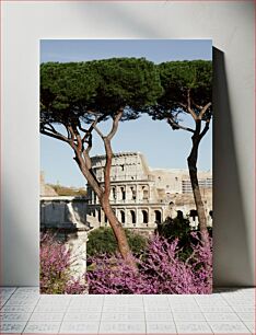 Πίνακας, Colosseum with Trees in Bloom Κολοσσαίο με δέντρα ανθισμένα