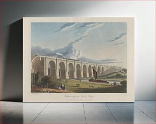 Πίνακας, Coloured views on the Liverpool and Manchester railway : with plates of the coaches, machines, &c