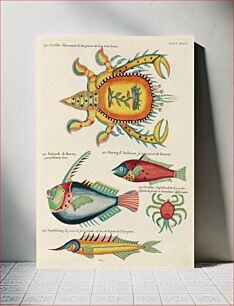 Πίνακας, Colourful and surreal illustrations of fishes and crabs found in the Indian and Pacific Oceans by Louis Renard (1678 -1746) from Histoire naturelle des plus rares curiositez de la mer des Indes (1754)