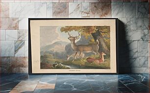 Πίνακας, Common deer / Doughty pinxt. ; Sartain sc