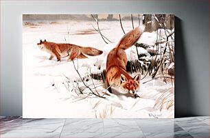 Πίνακας, Common foxes in the snow