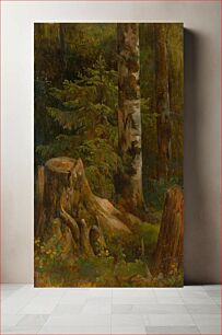Πίνακας, Coniferous woods interior by Friedrich Carl von Scheidlin