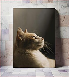 Πίνακας, Contemplative Cat Στοχαστική γάτα