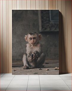 Πίνακας, Contemplative Monkey Στοχαστικός Πίθηκος