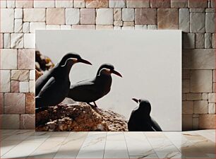Πίνακας, Conversation Among Birds on Rocks Συνομιλία μεταξύ πουλιών στους βράχους