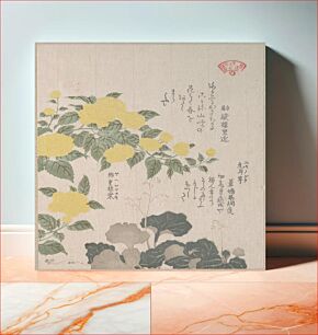 Πίνακας, Corchorus (or Yellow Rose) and Creeping Saxifrage by Kubo Shunman