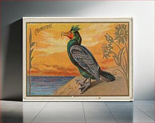 Πίνακας, Cormorant, from the Game Birds series (N13) for Allen & Ginter Cigarettes Brands